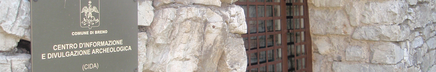 Il Cida
